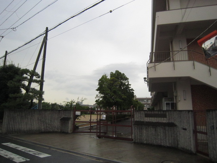 小学校　東羽衣小学校（小学校）まで185m