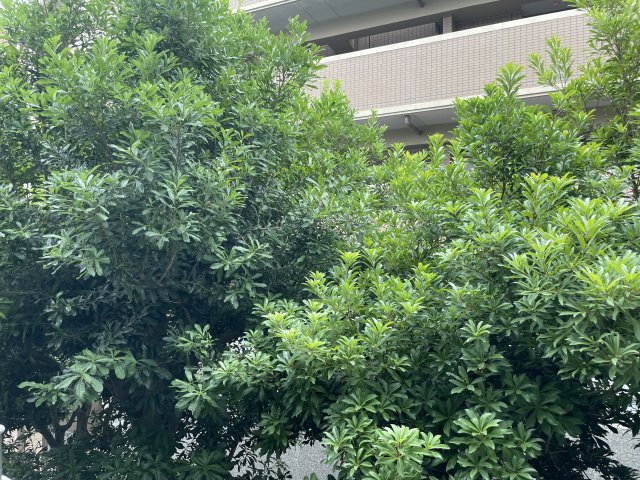 その他　別部屋参考写真