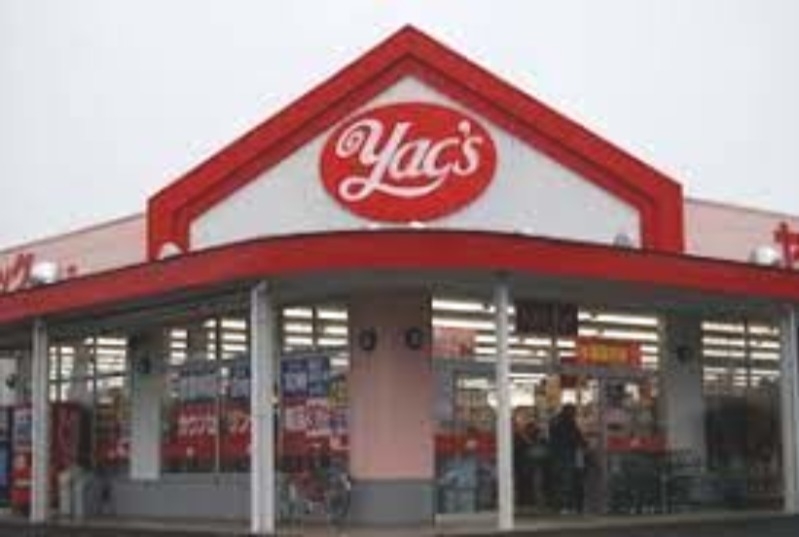 ドラックストア　ヤックスドラッグ知手店（ドラッグストア）まで895m