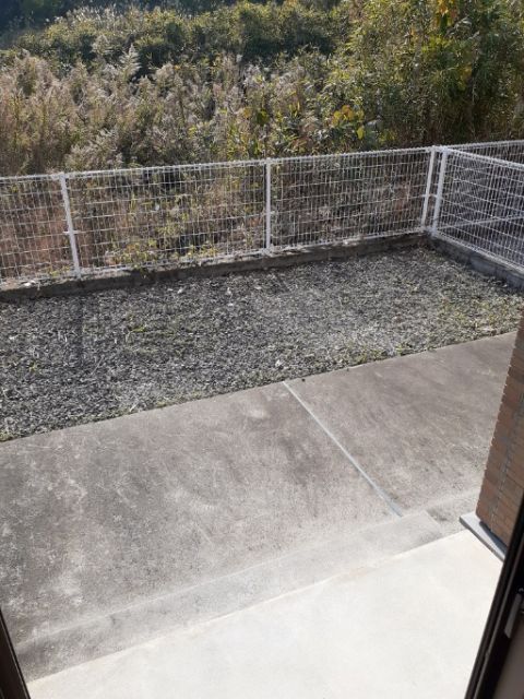 庭