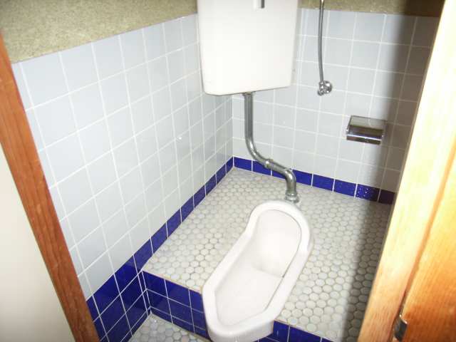 下有知長尾貸家2棟のトイレ写真