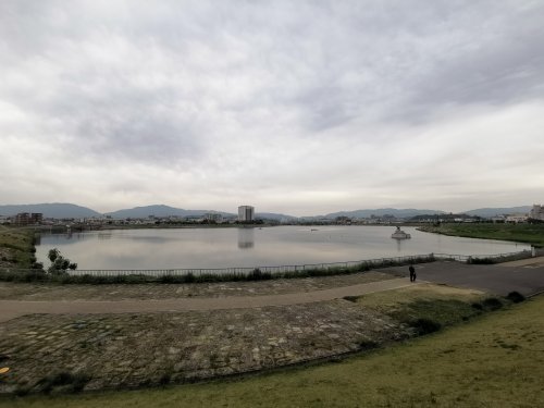 その他　狭山池ダム（その他）まで500m