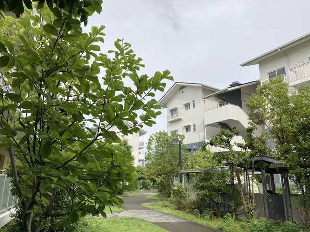URコンフォールかぶと台の外観写真