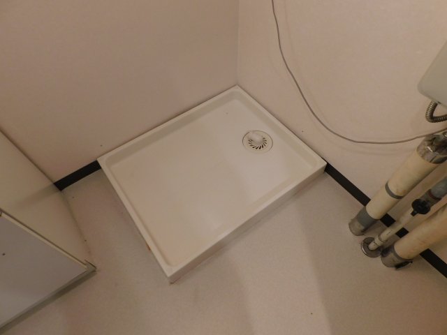 ホステリアのその他写真