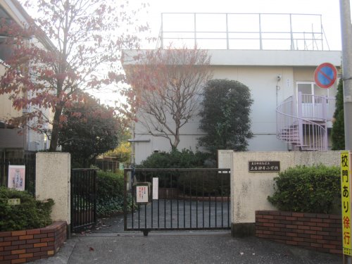 小学校　練馬区立上石神井小学校（小学校）まで215m