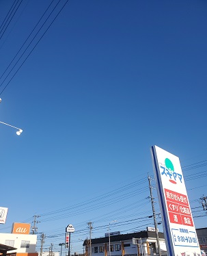 ドラックストア　ドラッグスギヤマ千代田店（ドラッグストア）まで730m