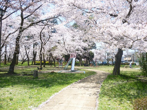 【サンビレッジ成田グリーンヒルズの公園】