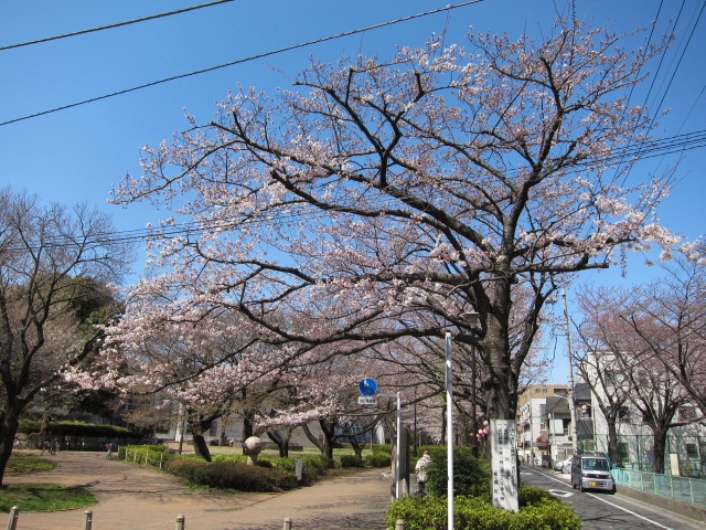 【ハイム小松原の公園】