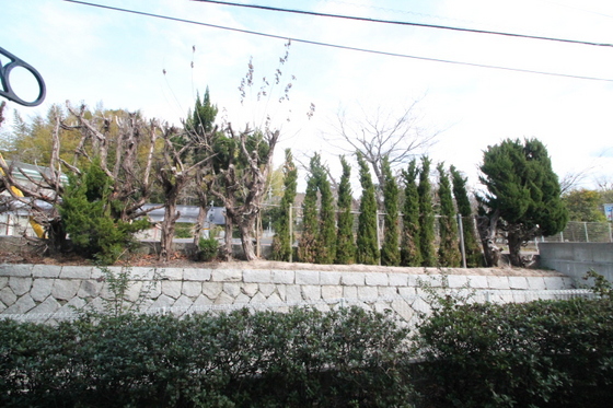 眺望　＊別号室の写真です