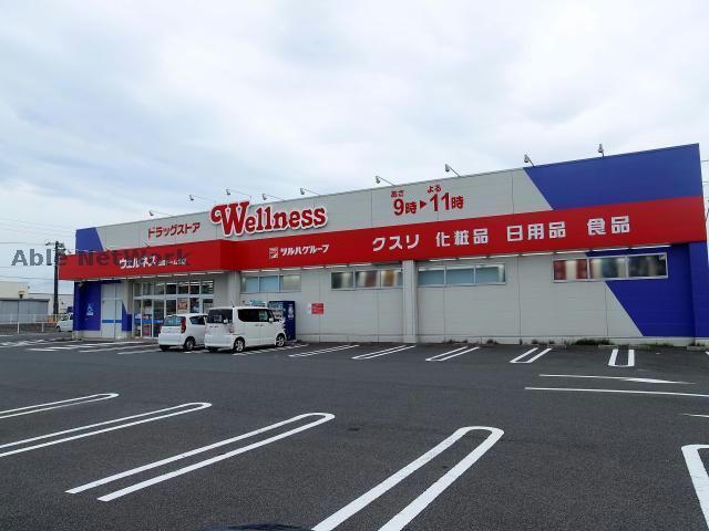 ドラックストア　ドラッグストアウェルネス出雲ドーム北店（ドラッグストア）まで913m