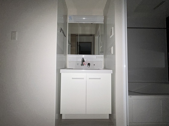 洗面設備　※別号室のお写真です