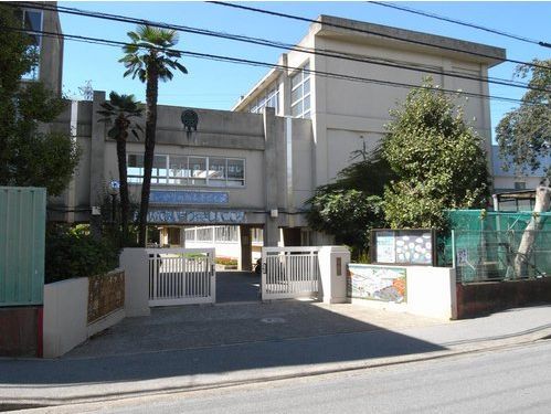 小学校　柏市立 高柳小学校（小学校）まで554m