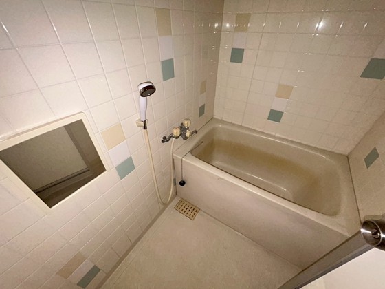 バス・シャワールーム　※別部屋の写真です