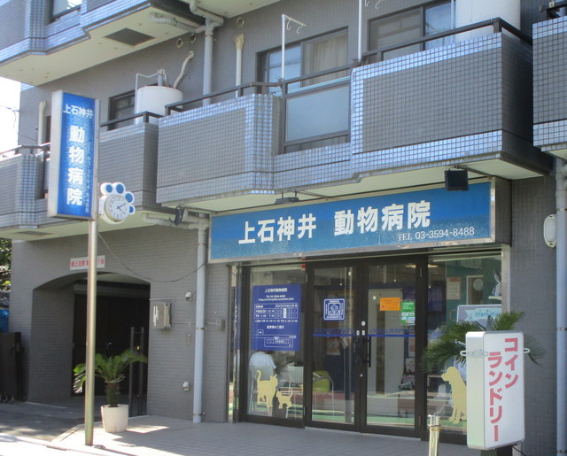 病院　上石神井動物病院（病院）まで607m