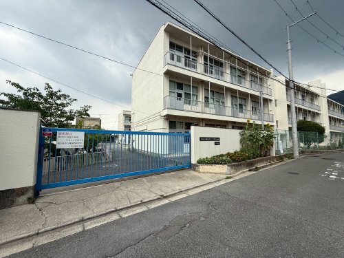 中学校　東大阪市立義務教育学校くすは縄手南校（中学校）まで1542m