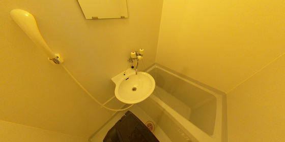 バス・シャワールーム　※別部屋の写真です