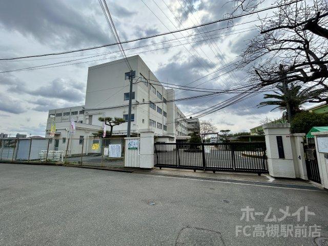 小学校　高槻市立真上小学校（小学校）まで534m