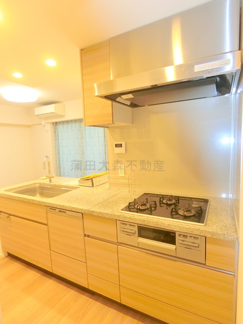 キッチン　3口ガスコンロとグリル、食器洗浄乾燥機つきのシステムキッチン