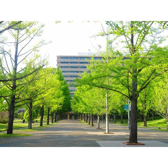 役所　熊本県庁（役所）まで1085m