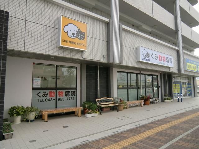 病院　くみ動物病院（病院）まで700m