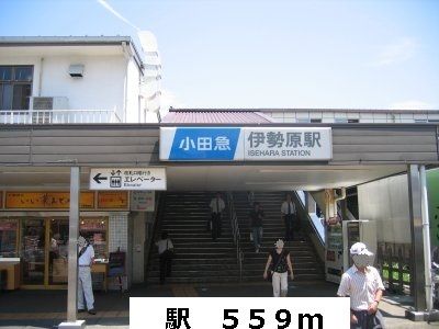 その他　駅（その他）まで559m