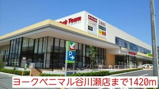 スーパー　ヨークベニマル谷川瀬店（スーパー）まで1420m