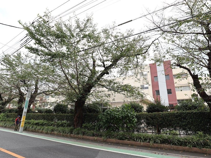 小学校　小金井市立小金井第四小学校（小学校）まで289m
