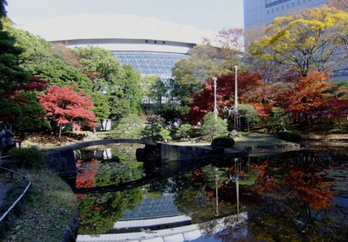 公園　小石川後楽園（公園）まで1278m