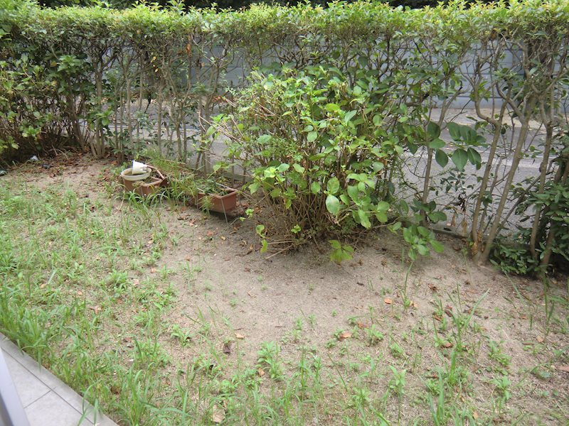 バルコニー　別号室の写真です。専用庭。