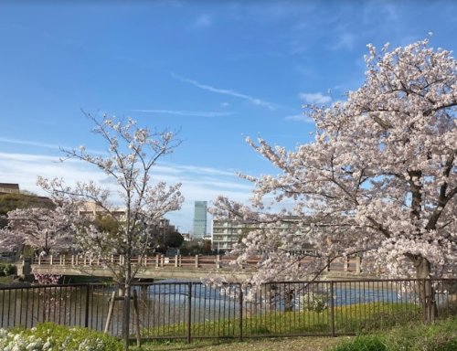 公園　万代池（公園）まで672m