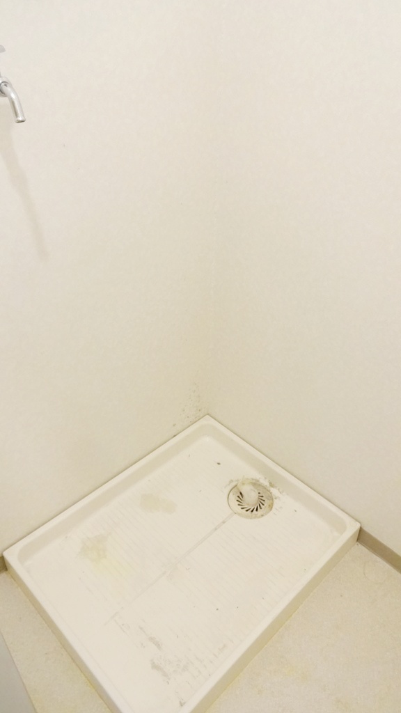 その他　洗濯機置き場はもちろん室内にございます♪