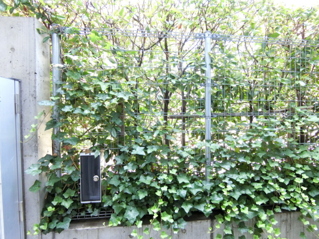 眺望　1階ですが外から見えにくいです。