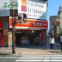 ドラックストア　ドラッグセガミ岡山表町本店（ドラッグストア）まで225m