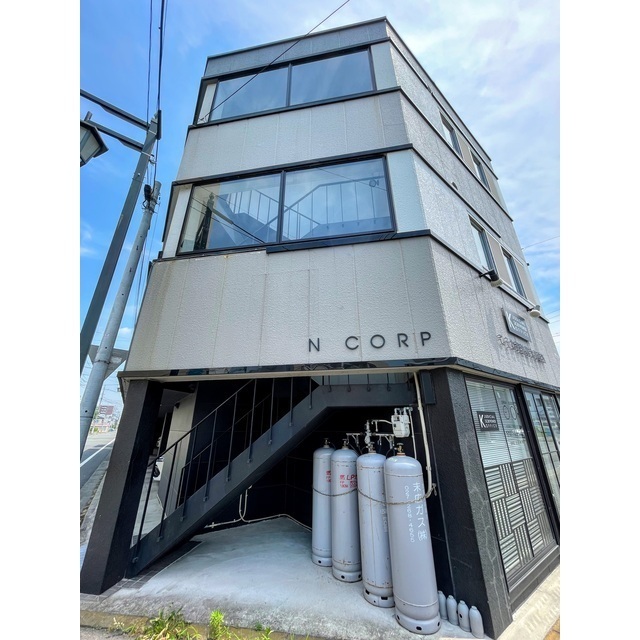 N-corpo