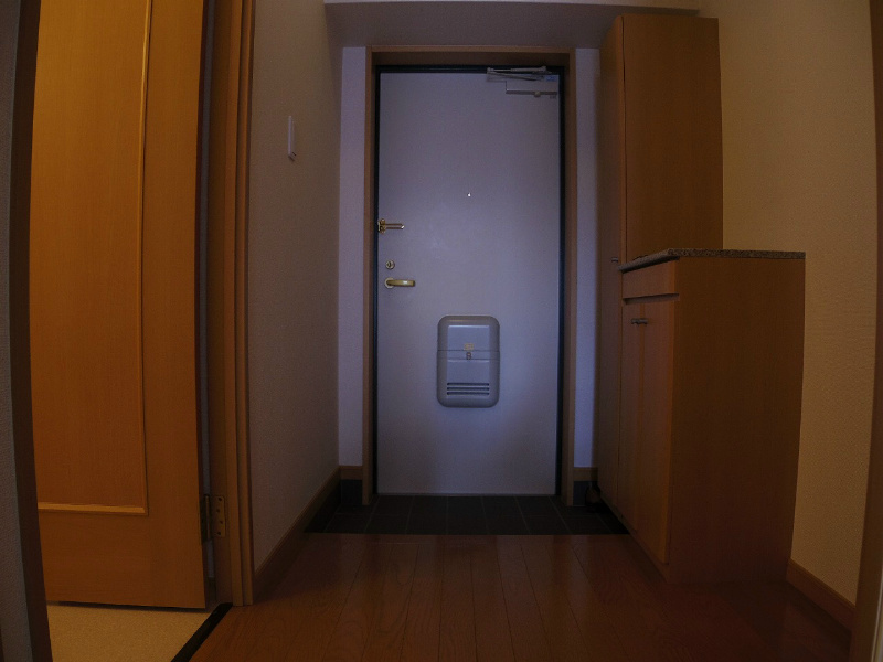 玄関　フラットタイプの玄関