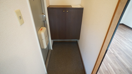 玄関　同仕様タイプ