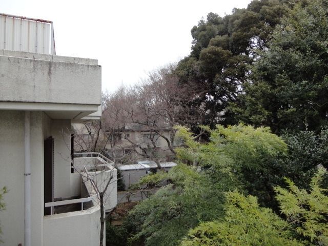 眺望　バルコニーからの景色