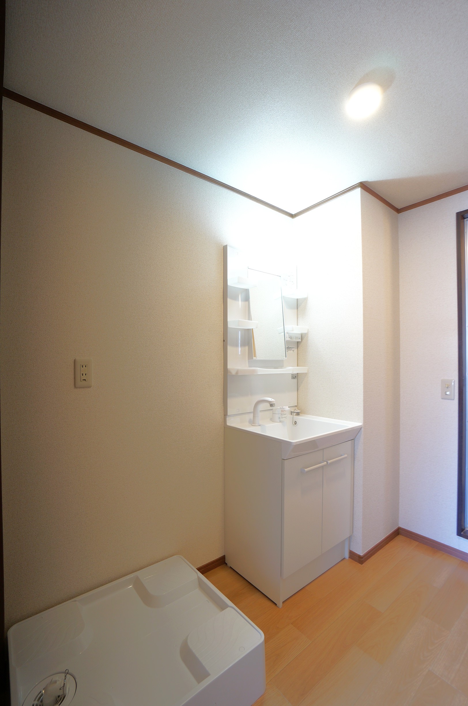 洗面設備　シャワー付洗面台と洗濯機置場