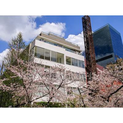 Ｂｌｏｓｓｏｍ　Ｔｅｒｒａｃｅの建物外観