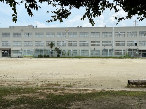 【豊橋市緑ケ丘のマンションの小学校】