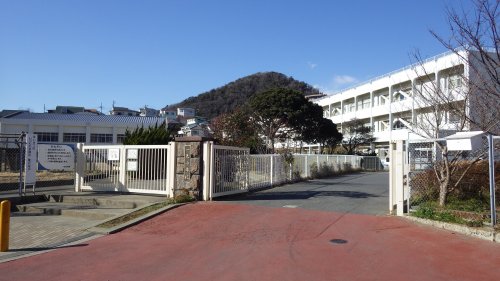 【ロスピック葉山Ａの小学校】