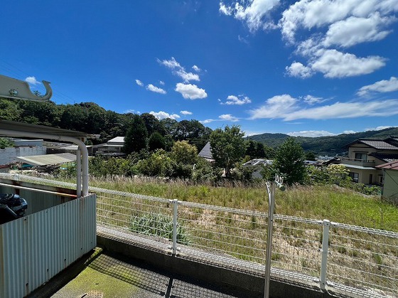 眺望　※別部屋の写真です