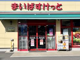 スーパー　まいばすけっと足立六月3丁目店（スーパー）まで377m