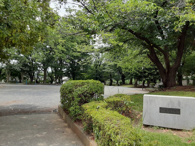 公園　美しが丘第八公園（公園）まで210m