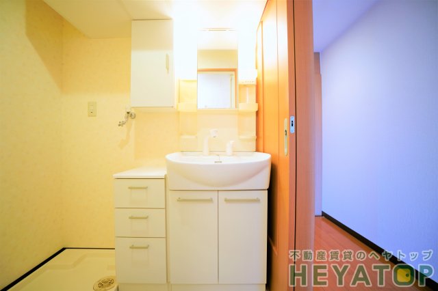 洗面設備　便利なシャワー付き洗面化粧台（同仕様写真）