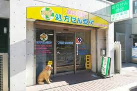 ドラックストア　アイン薬局 動坂店（ドラッグストア）まで483m