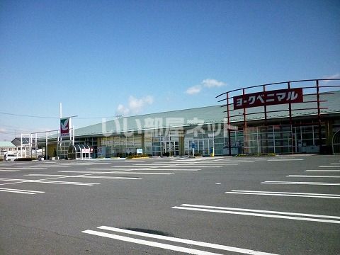 スーパー　ヨークベニマル 八山田店（スーパー）まで261m
