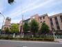 小学校　私立立命館小学校（小学校）まで1253m