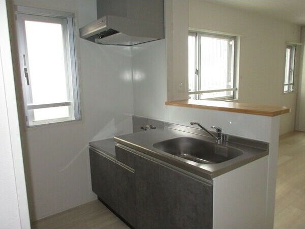 竜美丘Residenceのキッチン写真