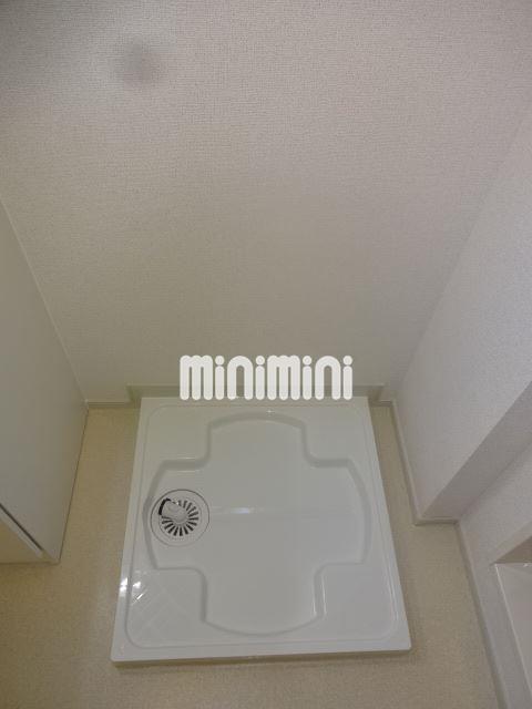 水のフォレストのその他写真
